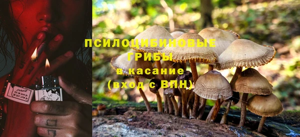 синтетический гашиш Алексин