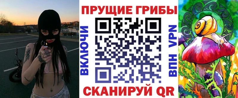 omg как войти  Комсомольск  Псилоцибиновые грибы Psilocybine cubensis 